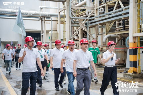 舟耀华夏 样板力量丨千年舟集团 千人工厂行 圆满收官,共鉴品质初心